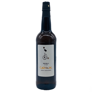 Carvajal Manzanilla Rama 