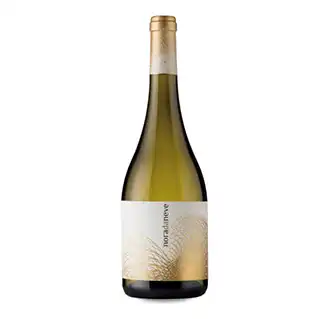 Nora de Neve Albarino