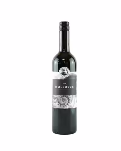 Mollusca Tinto