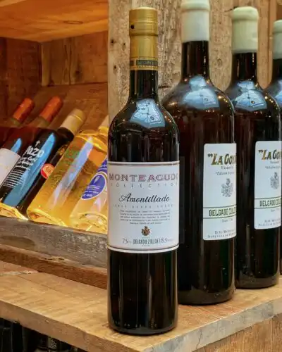 Monteagudo Seco Amontillado Sherry