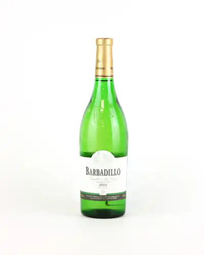 Barbadillo Castillo San Diego