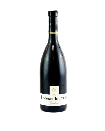 Laderas de Inurrieta