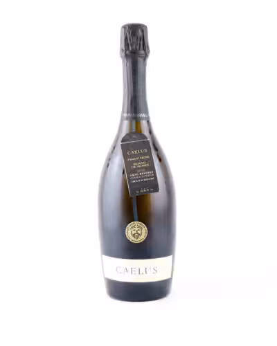 Caelus Blanc de Noirs Brut Nature Gran Reserva