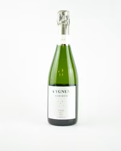 Cygnus Albireo Brut