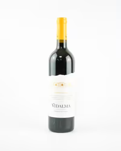Vidalma Mencia