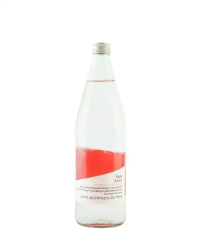 Sant Aniol Sparkling Water 75cl