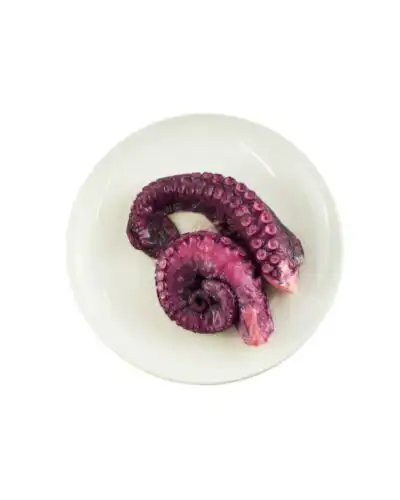 Salanort Pulpo (Octopus Tentacles) 200g